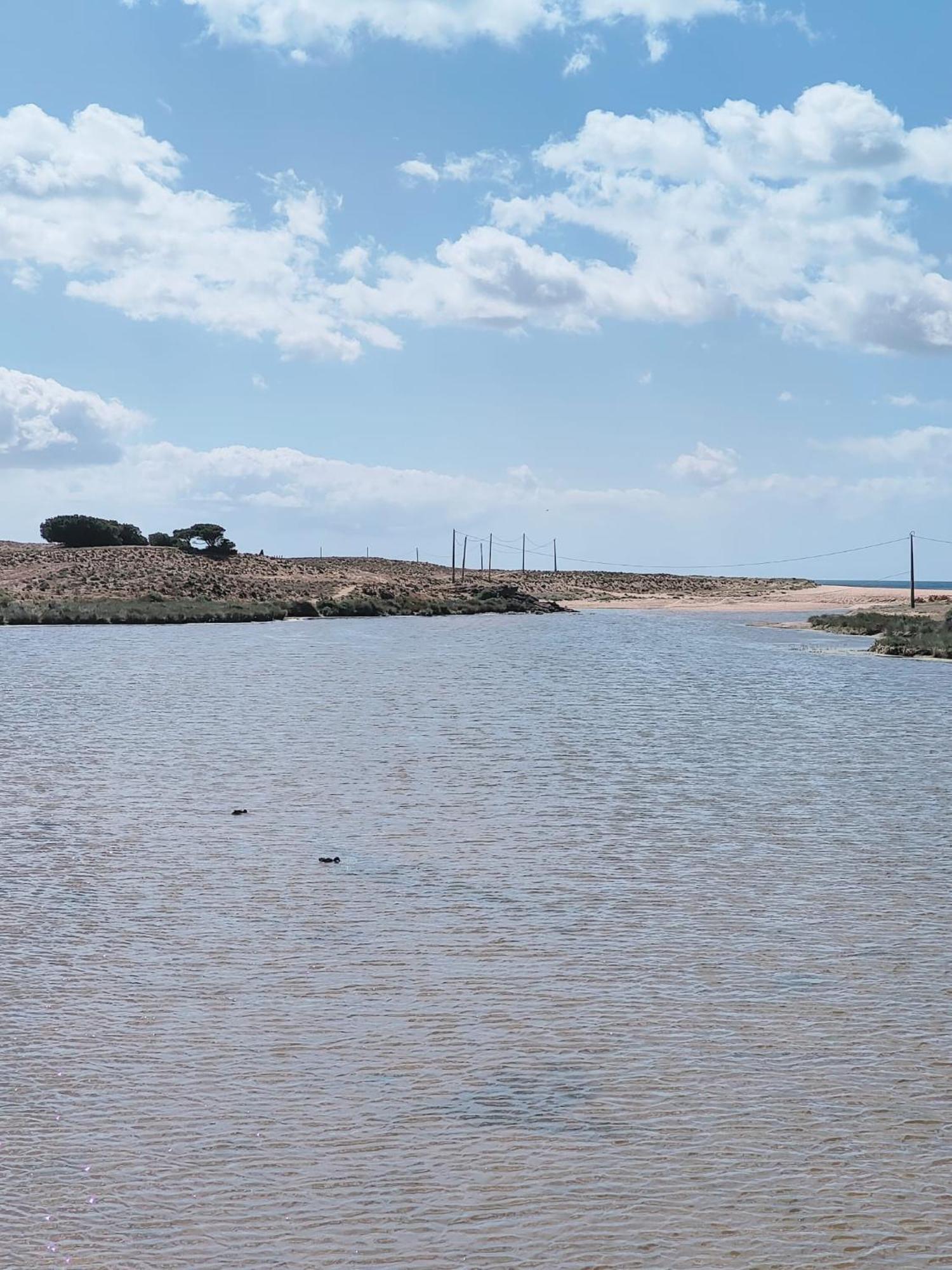 Bayline- Beachfront And Pool Armação de Pêra 외부 사진